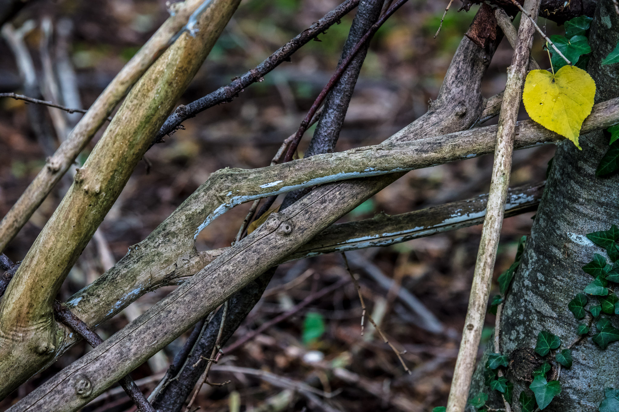 20210725110207 017942